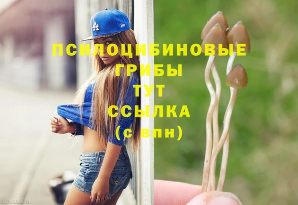 ALPHA PVP Нефтекумск